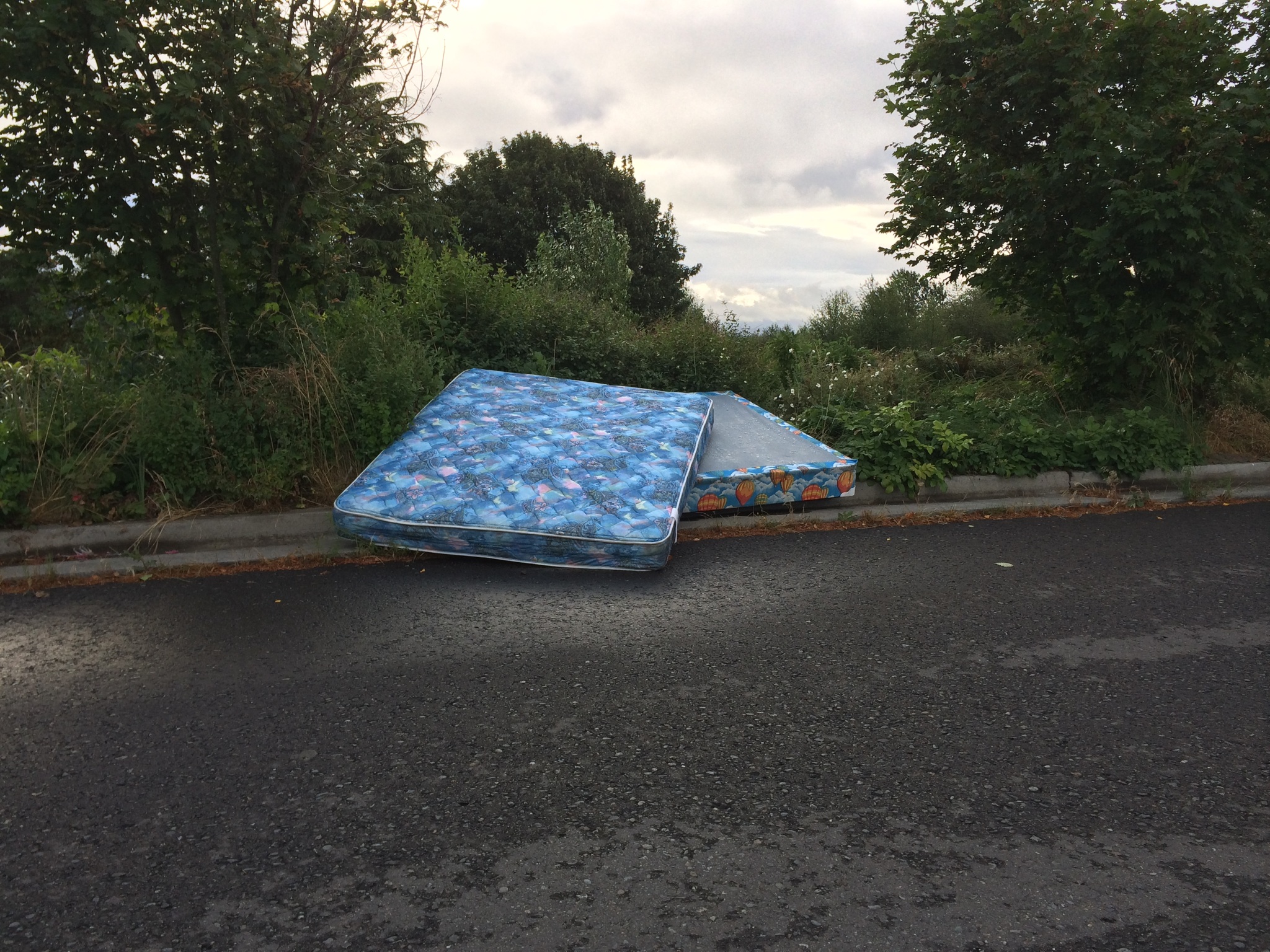 Best Practices in Addressing Illegal Dumping Of Durable Waste